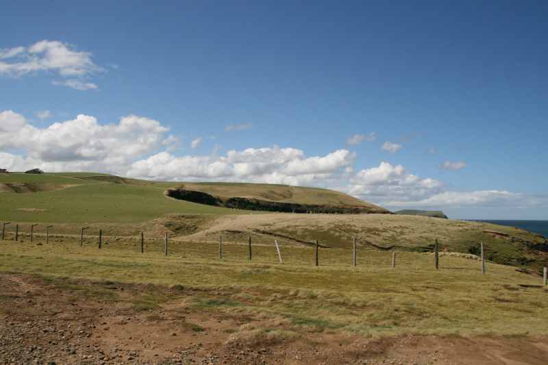 Nieuw-Zeeland 2011 - 1799